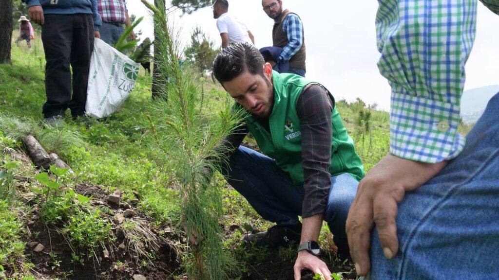 Planta PVEM EdoMex 10 mil árboles en Zinacantepec de la mano de 1500 jóvenes, comisariados ejidales y ONGs.