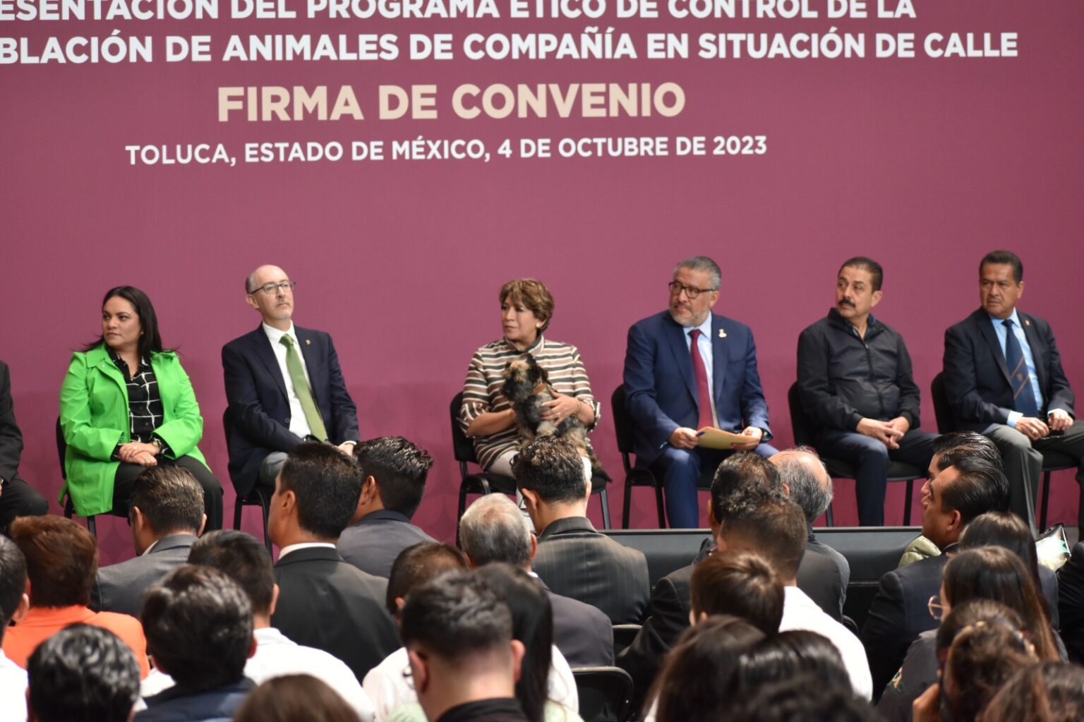 Delfina Gómez, Pone en marcha Programa de Bienestar Animal