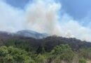 Incendios forestales azotan al Estado de México