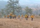 Permanecen tareas de combate para sofocar  incendio forestal en Temascaltepec